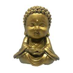 Buda Criança Meditando
