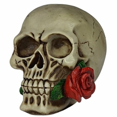 Cranio Caveira Com Rosa Na Boca