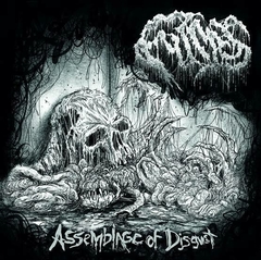 FUMES - Assemblage of Disgust - CD