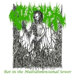 SOLARCRYPT - Rot In the Multidimensional Sewer - CD