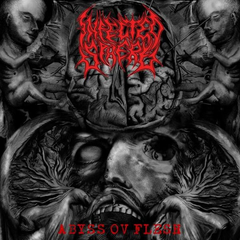 INFECTED SPHERE- Abyss OV Flesh - CD