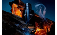 EXCLUSIVO Encomenda Dior Sauvage Parfum 100ml na internet