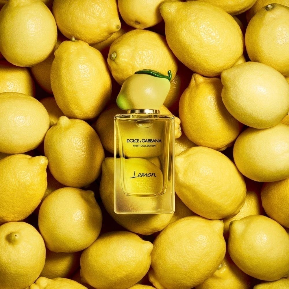 Dolce gabbana fruit collection online