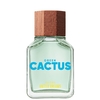 Benetton Green Cactus for Him EDT 100ml*