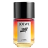 Encomenda Loewe Paulas Ibiza Cosmic EDP 100ml