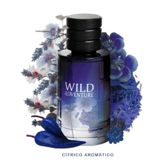 Linn Young Wild Adventure EDT 100ml na internet