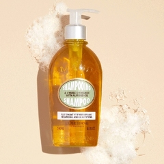 Loccitane en Provence Shampoo Amendoa 240ml - comprar online