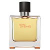Pré-Venda Hermes Terre d'Hermes Pure Parfum EDP 75ml*