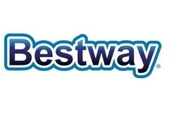 Imagen de Bestway Pileta Aro Inflable con bomba 3,05x76