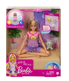 Muñeca Barbie Medita Conmigo - Mattel.