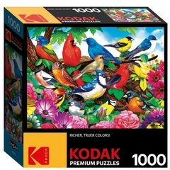 Puzzle Aves 1000 Piezas Kodak - Shine