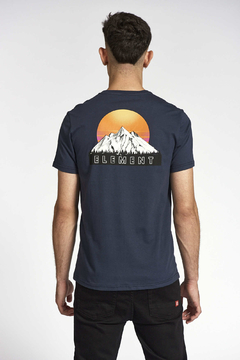 Remera Hollis - comprar online