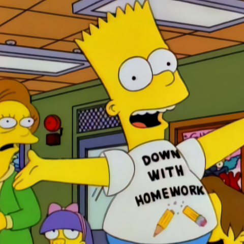 Remera - Down with homework