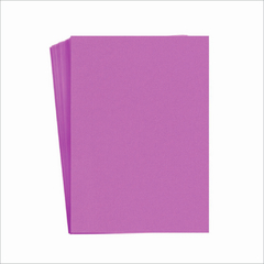 CAPA PP 030 ROSA LINER TRANSPARENTE A4 COM 10