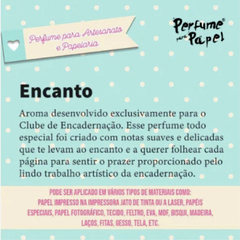 PERFUME PAPEL KIT 13 - 5 X 15ML - loja online