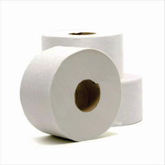 PAPEL HIGIÊNICO BIG ROLL COM 8 X 300M - comprar online