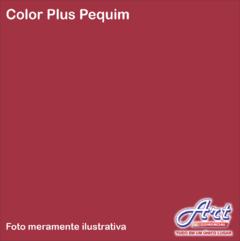 PAPEL COLOR PLUS PEQUIM 80G