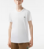 REMERA LISA CUELLO V - LACOSTE - comprar online