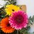 Ramo de gerberas - comprar online