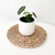 Peperomia Raindrop - comprar online