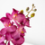 Orquidea Artificial - Algomasqueflores