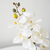 Orquidea Artificial - tienda online