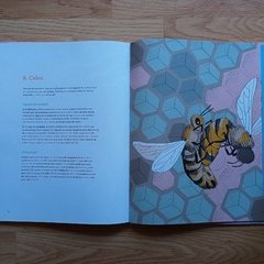 LA VIDA AMOROSA DE LOS ANIMALES - Pantuflas Libros