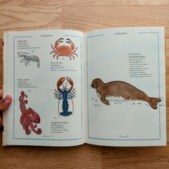 Inventario ilustrado de animales - Pantuflas Libros