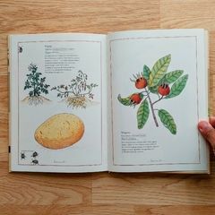 Inventario ilustrado de frutas y verduras - comprar online