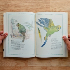 Inventario ilustrado de aves - Pantuflas Libros