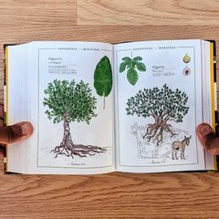 Bellezas de la naturaleza - Pantuflas Libros