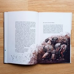 Drácula- Colección Fuera de serie - Pantuflas Libros