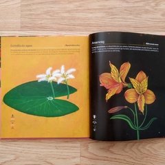 NATIVAS, FLORES ARGENTINAS - Pantuflas Libros