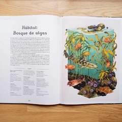 Oceanarium - Enciclopedia del mar - Pantuflas Libros