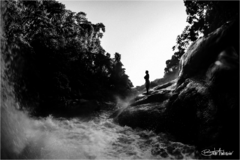 Quadro | Observando a Tormenta