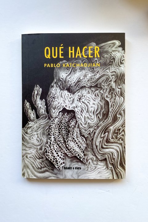 Qué hacer (Pablo Katchadjian)