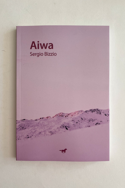 Aiwa (Sergio Bizzio)