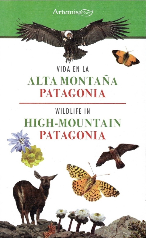 VIDA EN LA ALTA MONTAÑA PATAGONIA / WILDLIFE IN HIGH-MOUNTAIN PATAGONIA