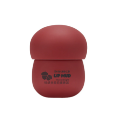 Labial estilo coreano Tono 544 - NOVO - comprar online