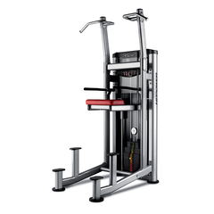 Dominada y Fondo Con Asistencia BH Fitness L450PB