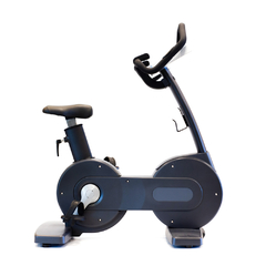 Bicicleta Vertical Athletic 6000 BVP - comprar online