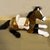 WOODY TOYS CABALLO DE PELUCHE CON SONIDO 25084