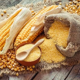 Harina de maíz integral agroecológico "Naturaleza Viva"