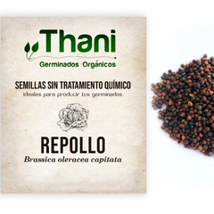25 g Semillas de repollo agroecológicas para brotes "Thani"