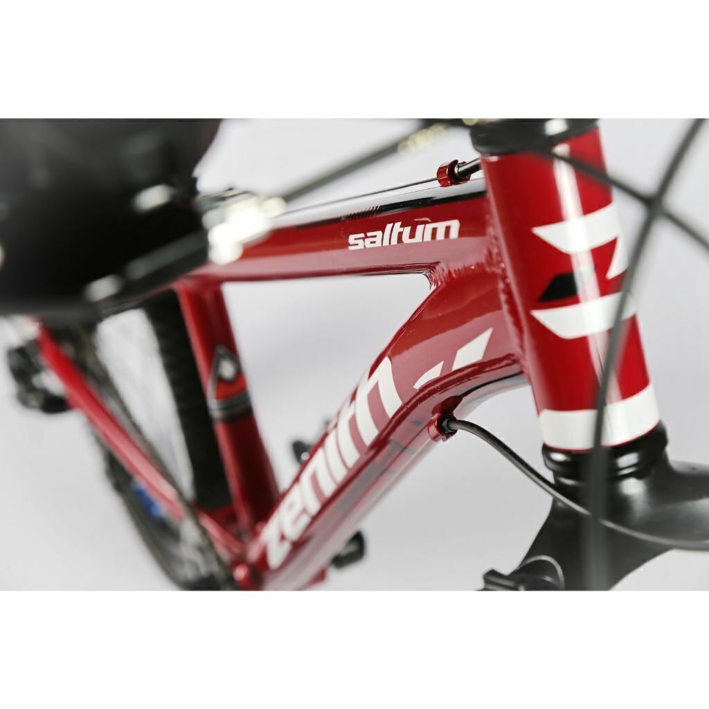 Bicicleta zenith rodado 24 sales