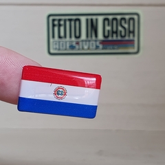 Adesivo Resinado Tarjeta Placa Bandeira Paraguai