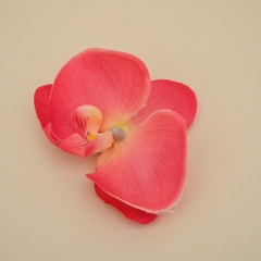 Imagem do Orquídea Colors