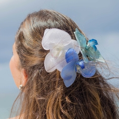 Orquídea Azul