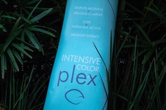 Tintura Exiline Intensive Color Plex 60grs - Bruni Store