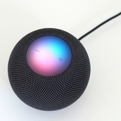 APPLE HOMEPOD MINI - PowerZone Pacheco